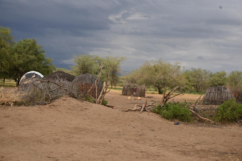 Turkana Measles and Malaria Response