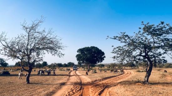 Mobile Solar Energy in Ourang refugee camp, Eastern Chad