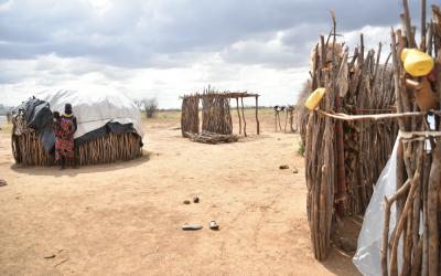 Turkana Measles and Malaria Response