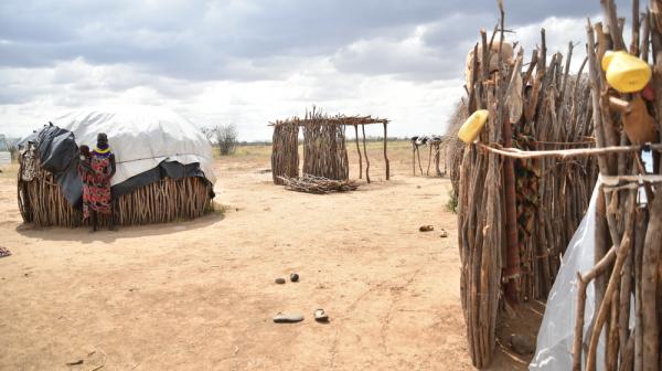 Turkana Measles and Malaria Response