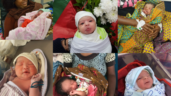 Fotostory: Unsere ersten Babys 2018!