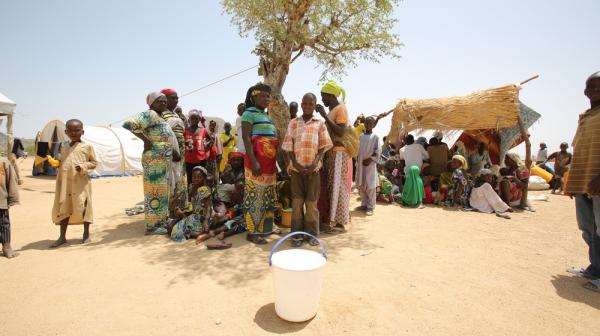 Cameroun - MSF activities for people displaced by Boko Haram attacks
