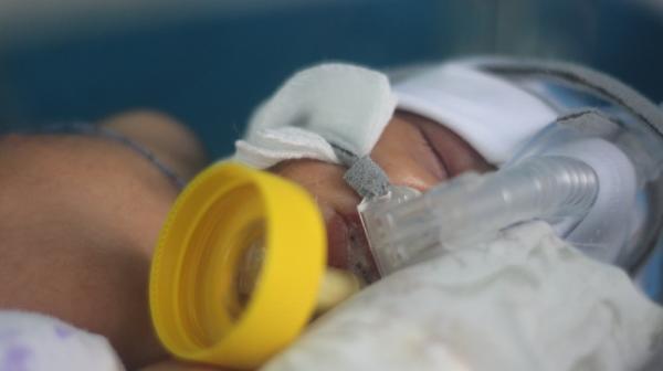 10,000 Syrian babies born in Irbid clinic